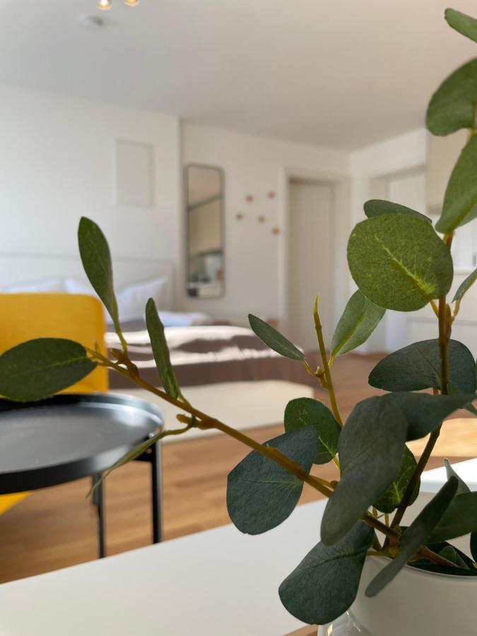 Apartmán Maurer Haus Hohenweiler Exteriér fotografie